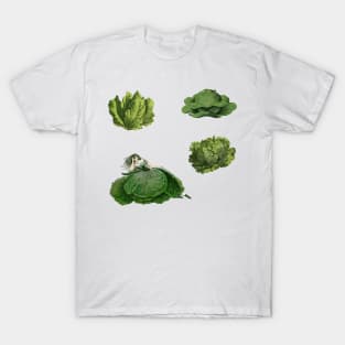 Lettuce Experience Ennui T-Shirt